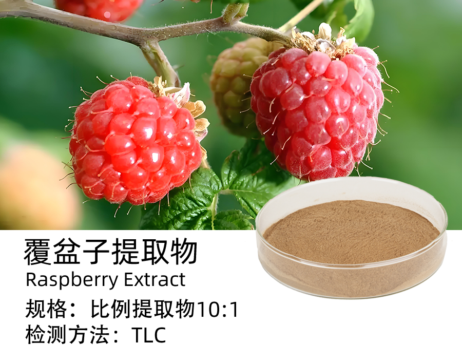 覆盆子提取物