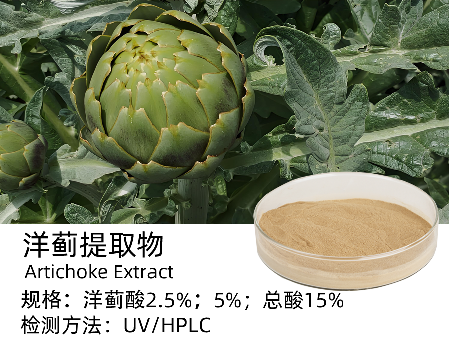 洋蓟提取物