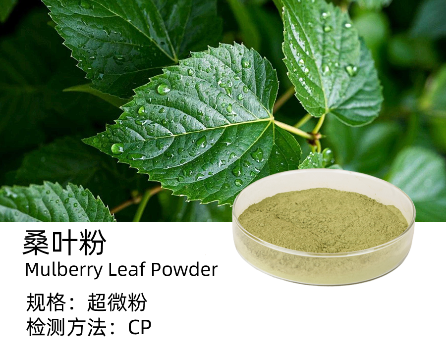 桑叶粉