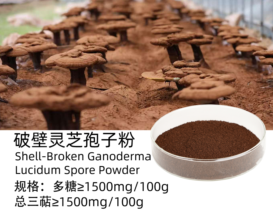 破壁灵芝孢子粉