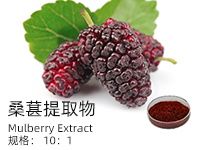 桑葚提取物